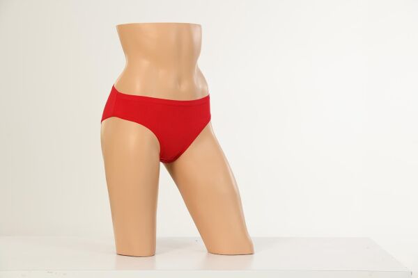 Dondeza 1032 Bambu Kadın Bikini Külot 12 li Paket