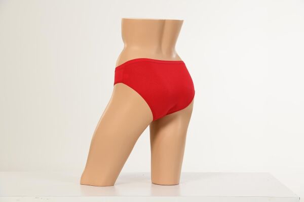 Dondeza 1032 Bambu Kadın Bikini Külot 12 li Paket