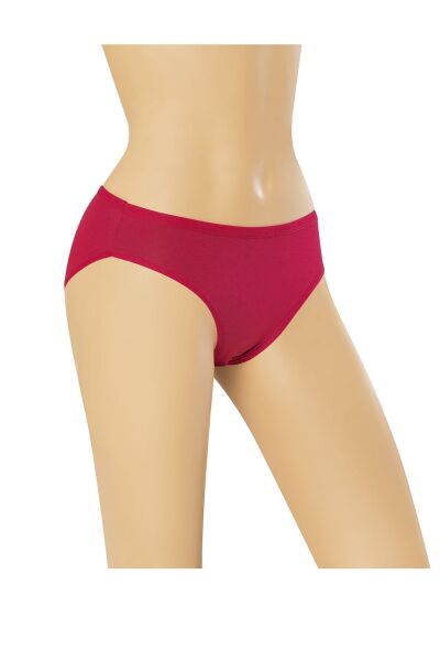 Dondeza 163 Viskon Kadın Bikini Külot 12 li Paket