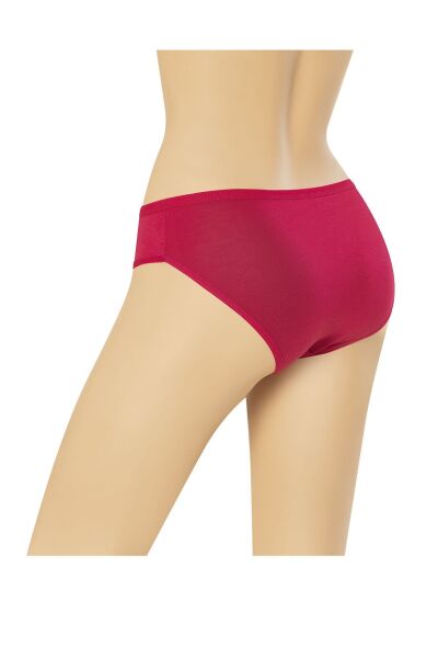 Dondeza 163 Viskon Kadın Bikini Külot 12 li Paket