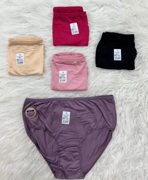 Dondeza 663 Viskon Kadın Büyük Beden Külot 12 li Paket
