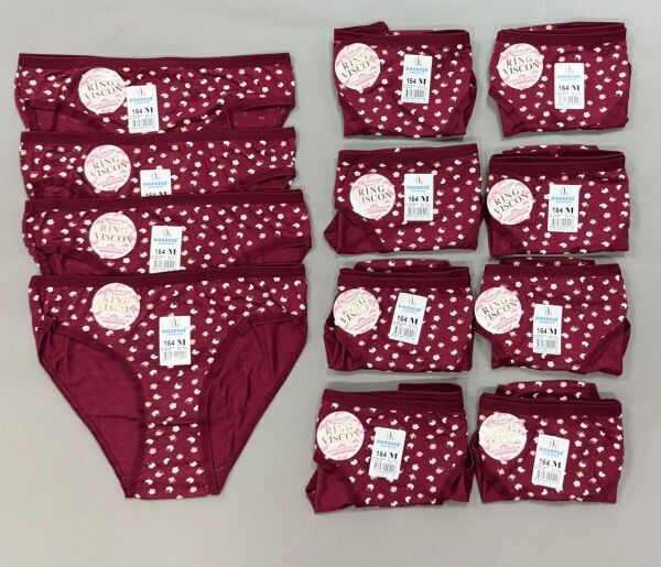 Dondeza 664 Viskon Desenli Büyük Beden Kadın Külot 12 li Paket